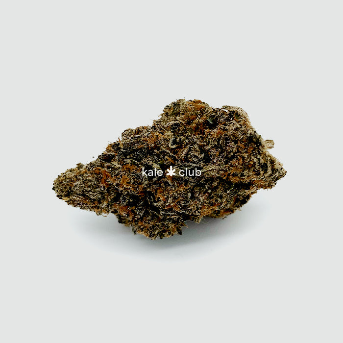 Bruce Banner #3
