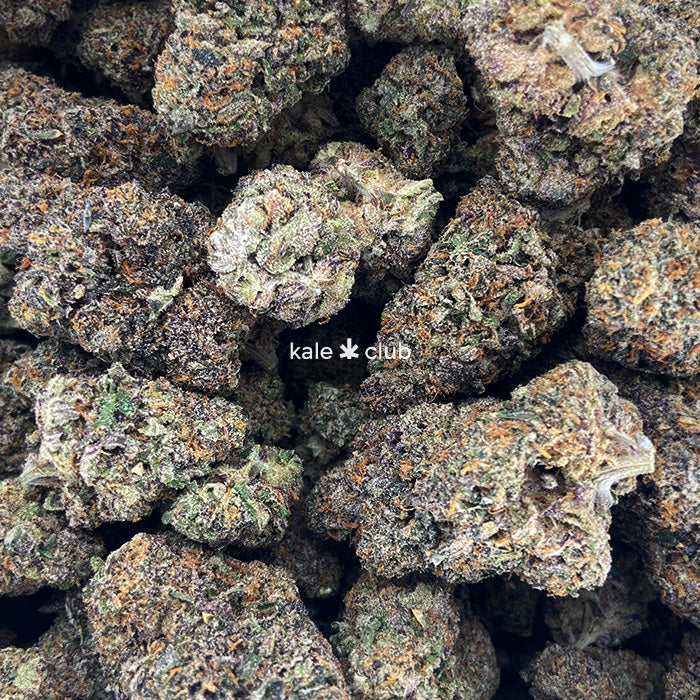 Bruce Banner #3