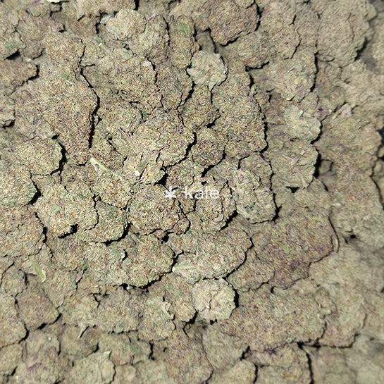 MAC