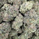 LCG (indoor)