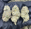 Blue Zkittlez