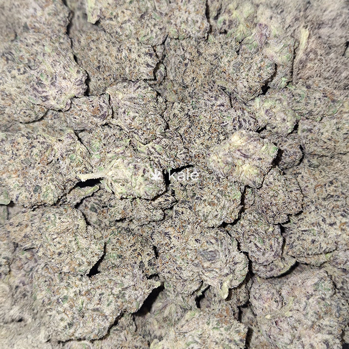 Dante's Inferno