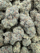 Cali Runtz (indoor)