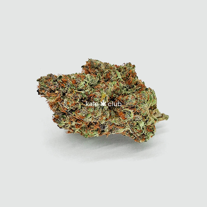 Frosted Flakes