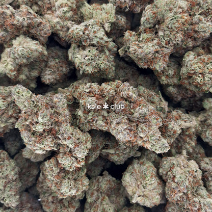 Frosted Flakes