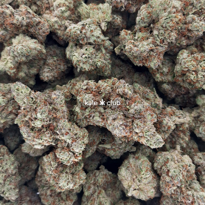 Frosted Flakes