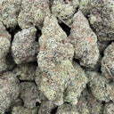 First Class Funk (Indoor)