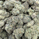 Jack One (Indoor)