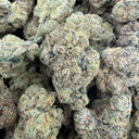 Candy Gelato (Indoor)