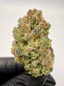 LCG (indoor)