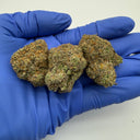 Lung Candy (Indoor)