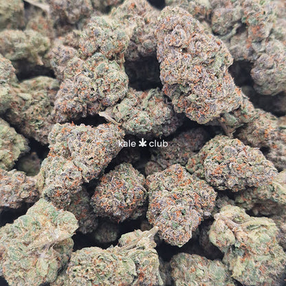 Super Boof