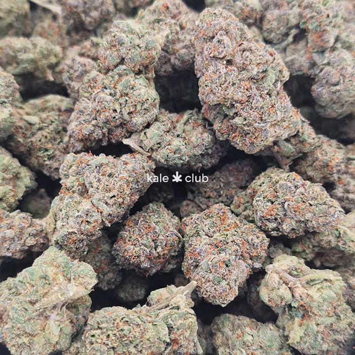 Super Boof