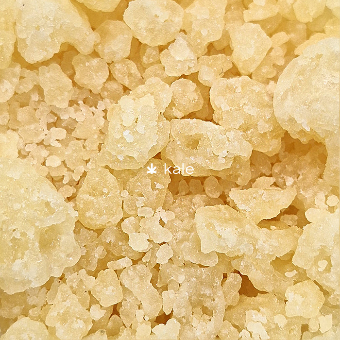 Super Silver Haze