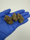 Warheads (Indoor)