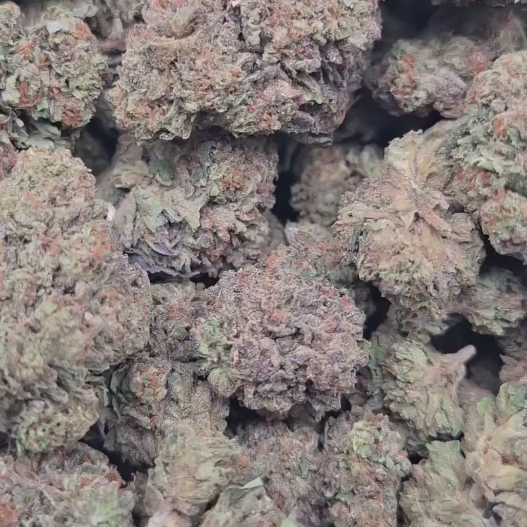 Load video: Baccio Gelato