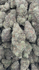 First Class Funk (Indoor)