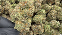 Warheads (Indoor)