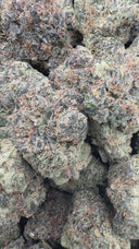 Purple Push Pop (Indoor)