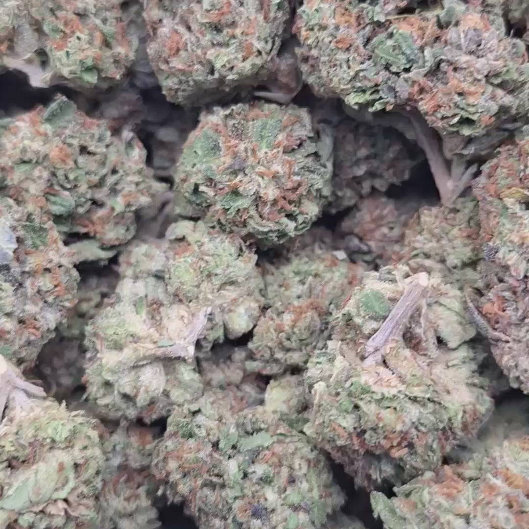 Load video: Candy Gelato