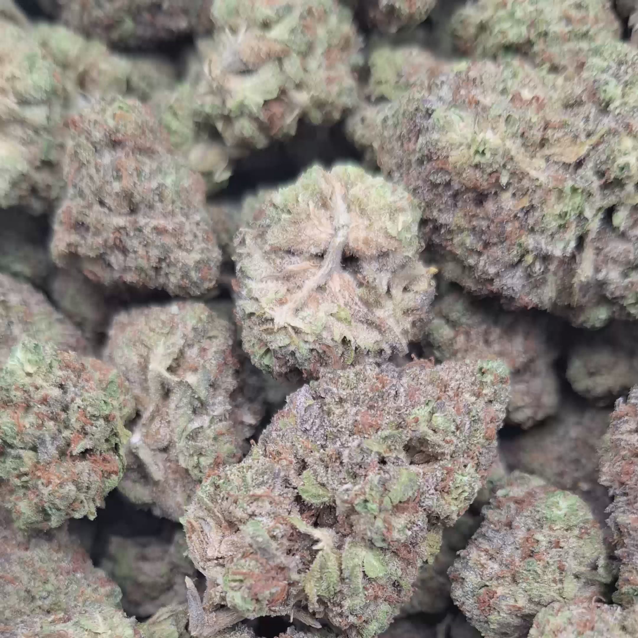 Load video: French Toast