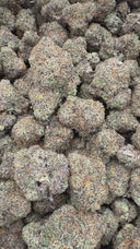 Lung Candy (Indoor)